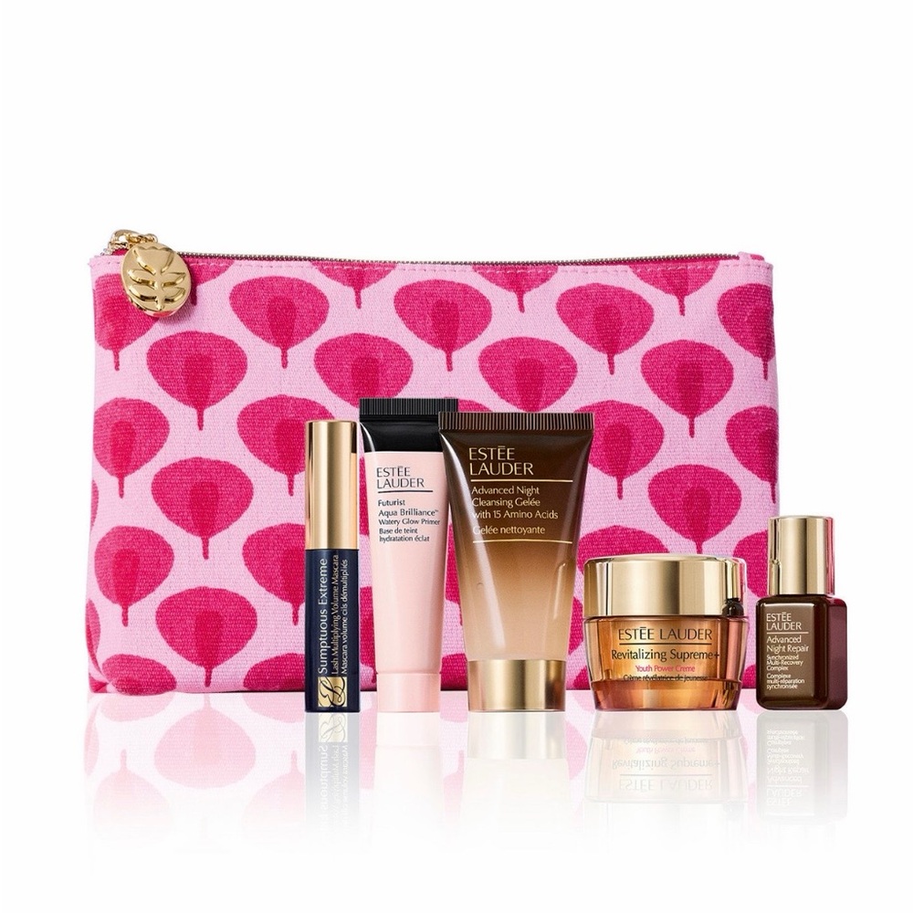 Estée Lauder 6pc Pink Pattern Cosmetic Bag with Skincare Set Sealed
